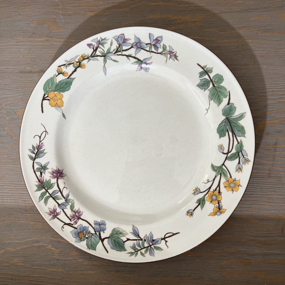 Citation Woodhill  Floral Rim 10-1/2"‎ Dinner Plate Bin 1142